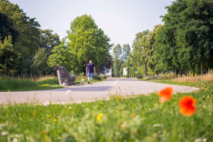 Foto 68 van Seizoentuinenlaan 27