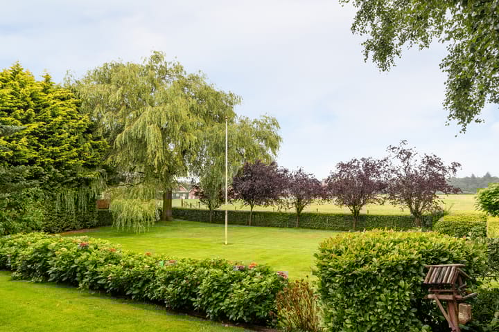 Photo 7 of Oudedijk 19