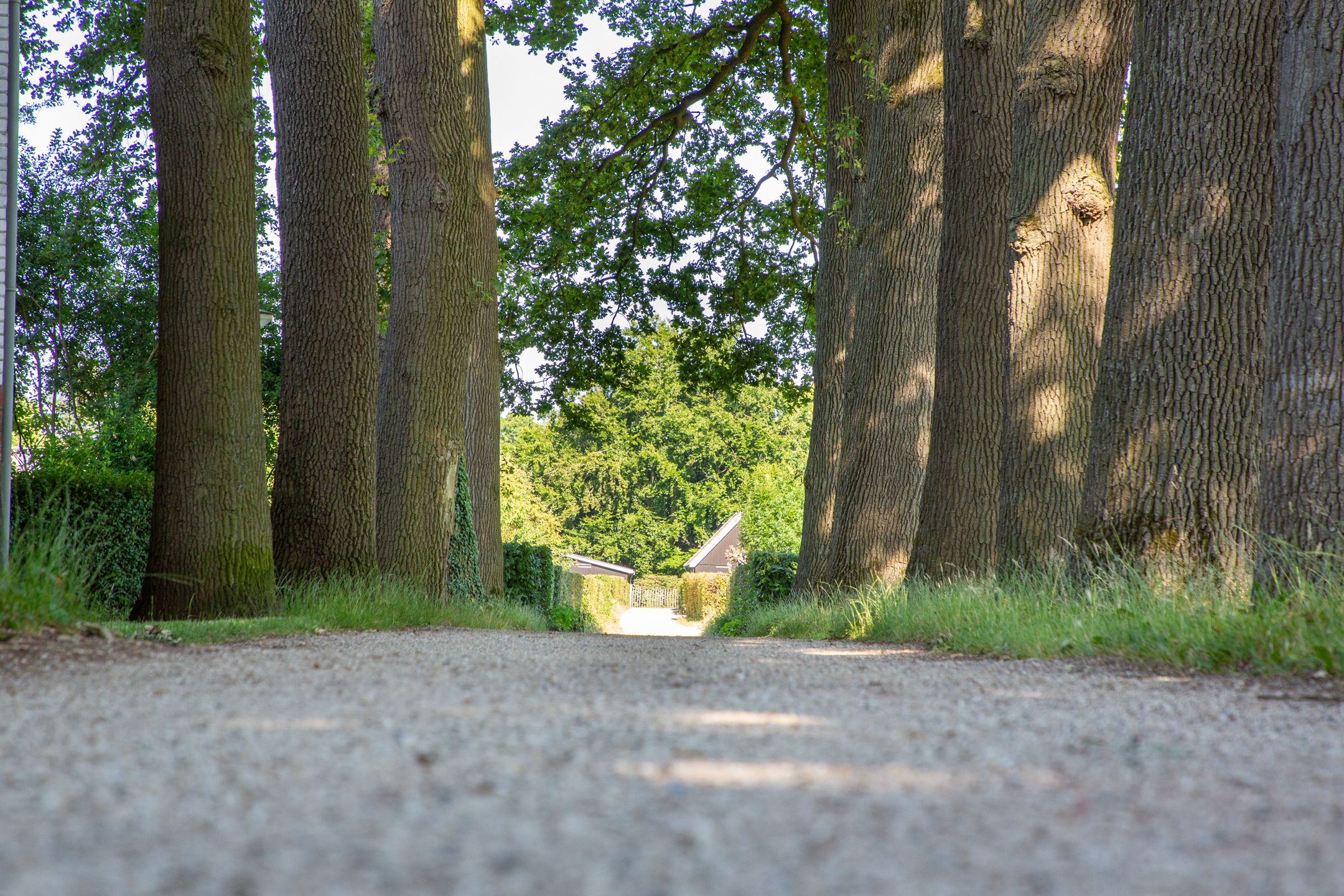 Foto 51 van 't Hof 1