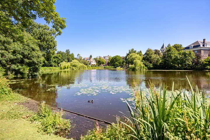 Foto 31 van Lomanstraat 26-2