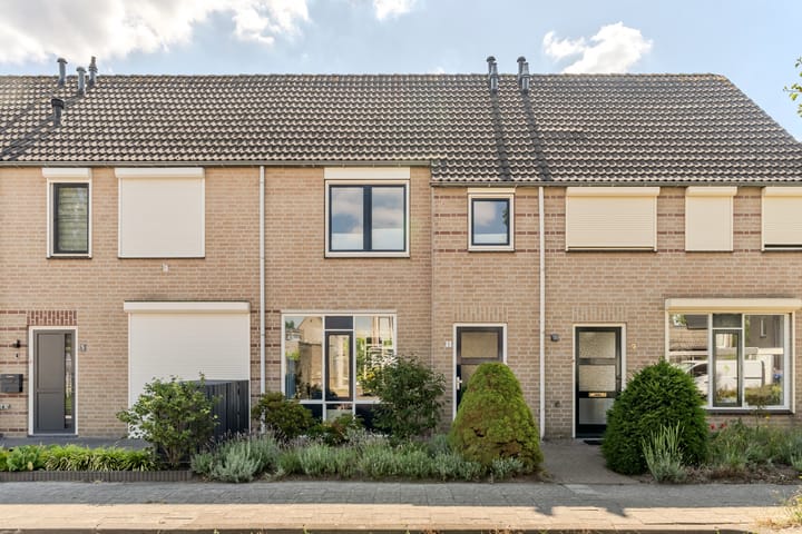 Foto 6 van Sabelmarter 5