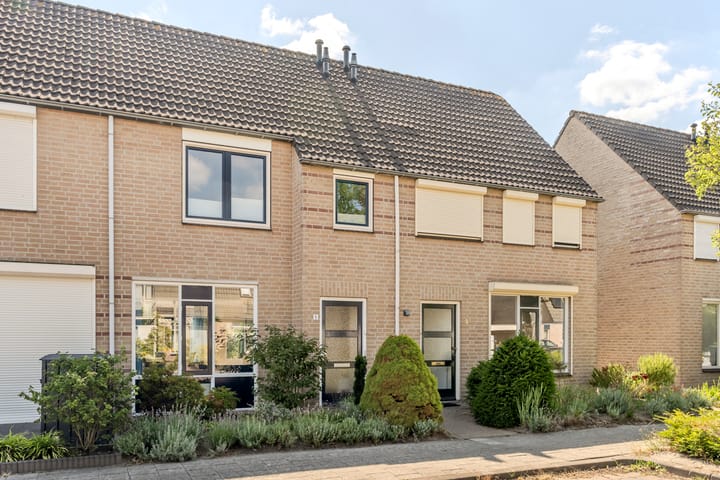 Foto 7 van Sabelmarter 5