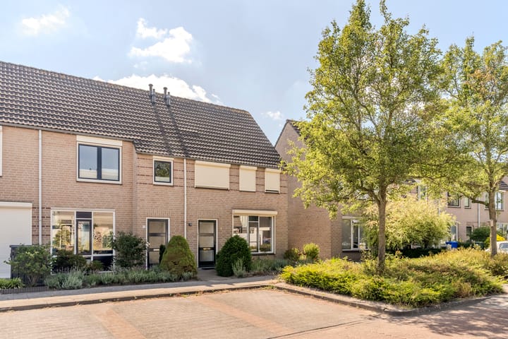 Foto 8 van Sabelmarter 5