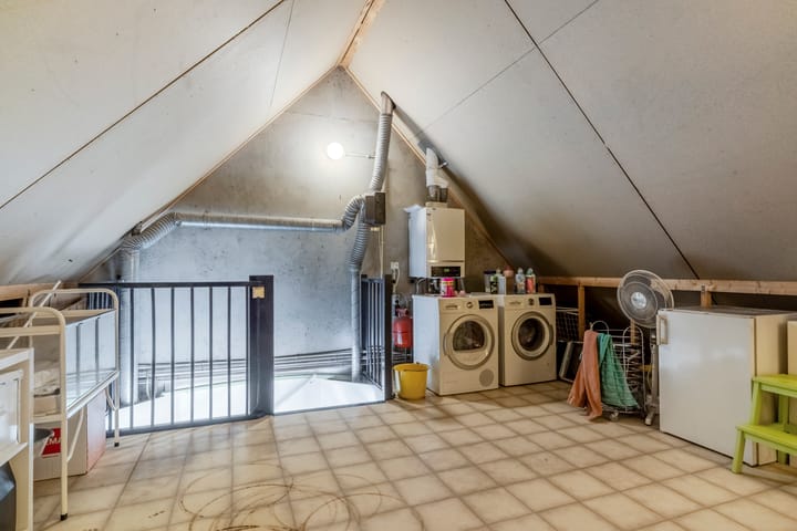 Foto 34 van Sabelmarter 5