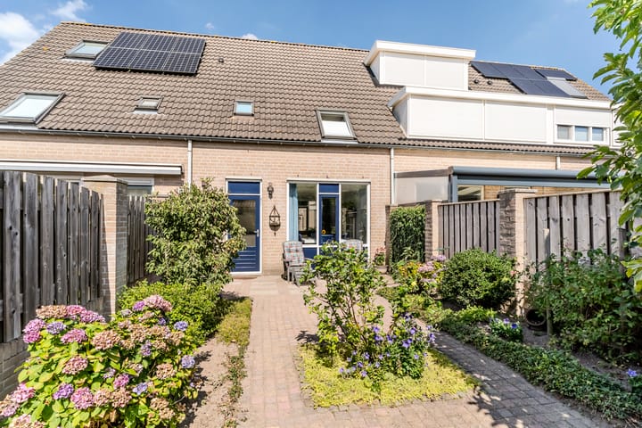 Foto 39 van Sabelmarter 5