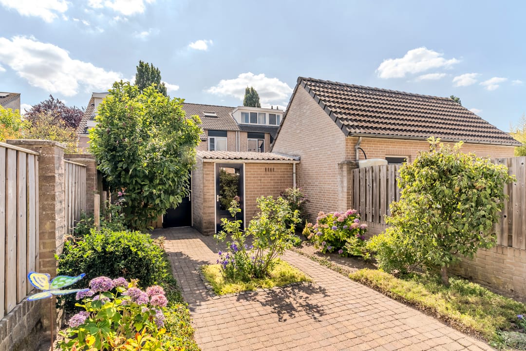 Foto 41 van Sabelmarter 5