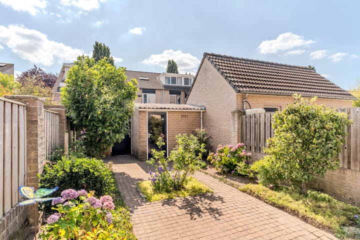 Foto 41 van Sabelmarter 5