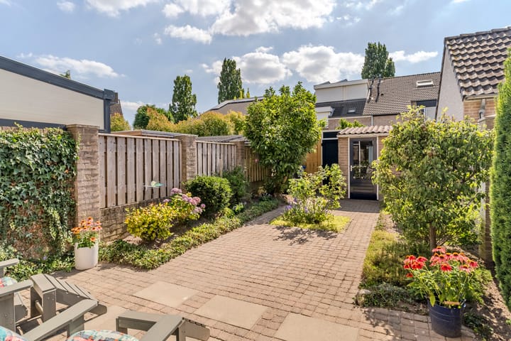 Foto 42 van Sabelmarter 5