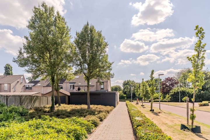 Foto 43 van Sabelmarter 5