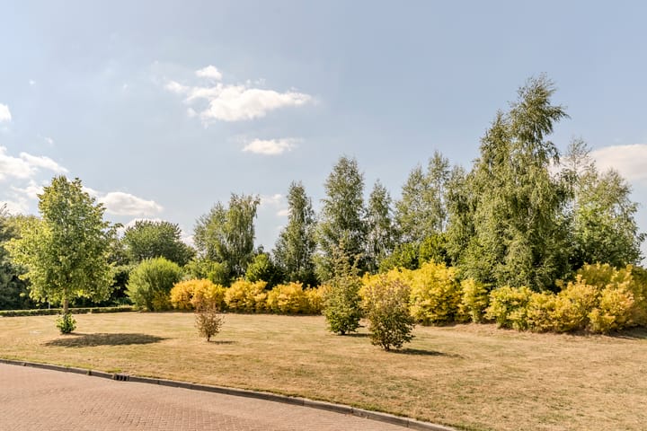 Foto 44 van Sabelmarter 5