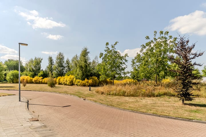 Foto 45 van Sabelmarter 5