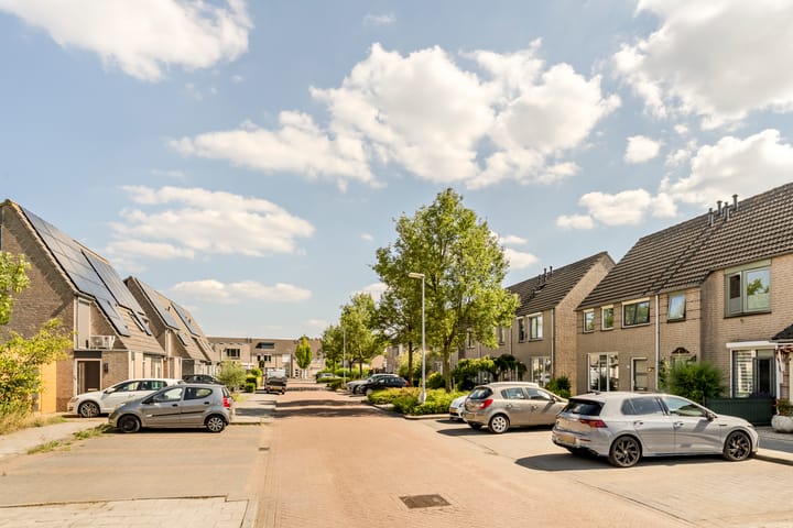 Foto 46 van Sabelmarter 5