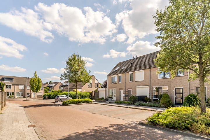 Foto 48 van Sabelmarter 5