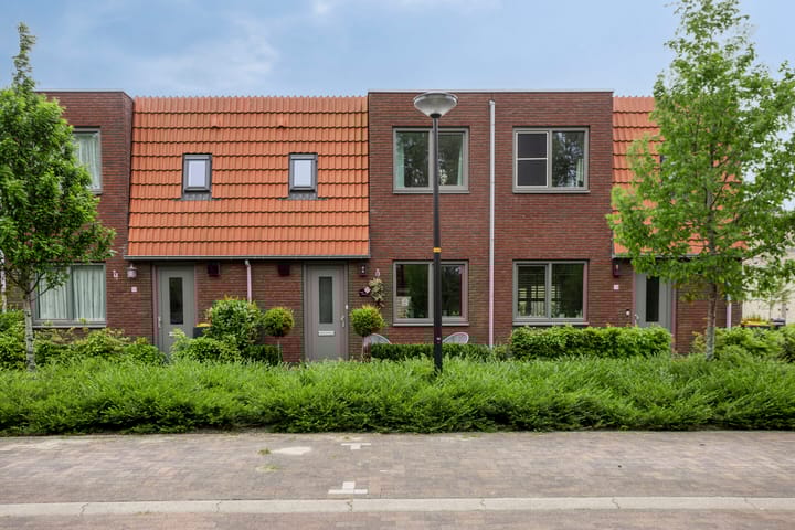 undefined main image