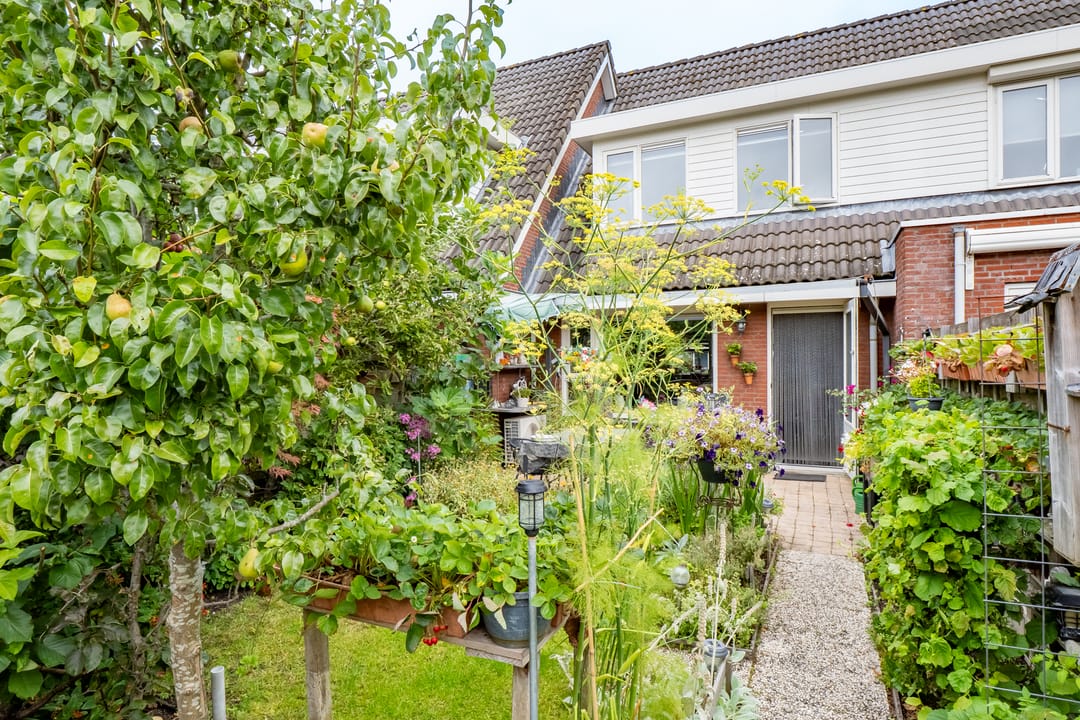 Foto 31 van Vedergras 8