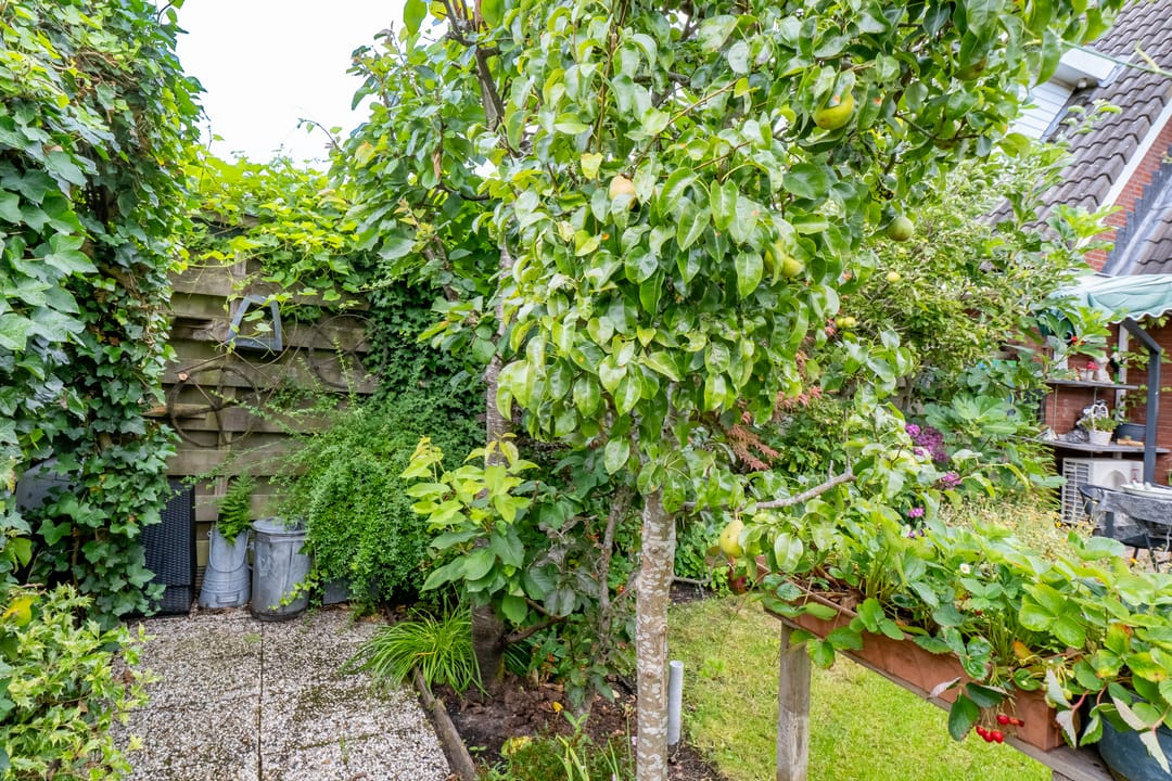 Foto 32 van Vedergras 8