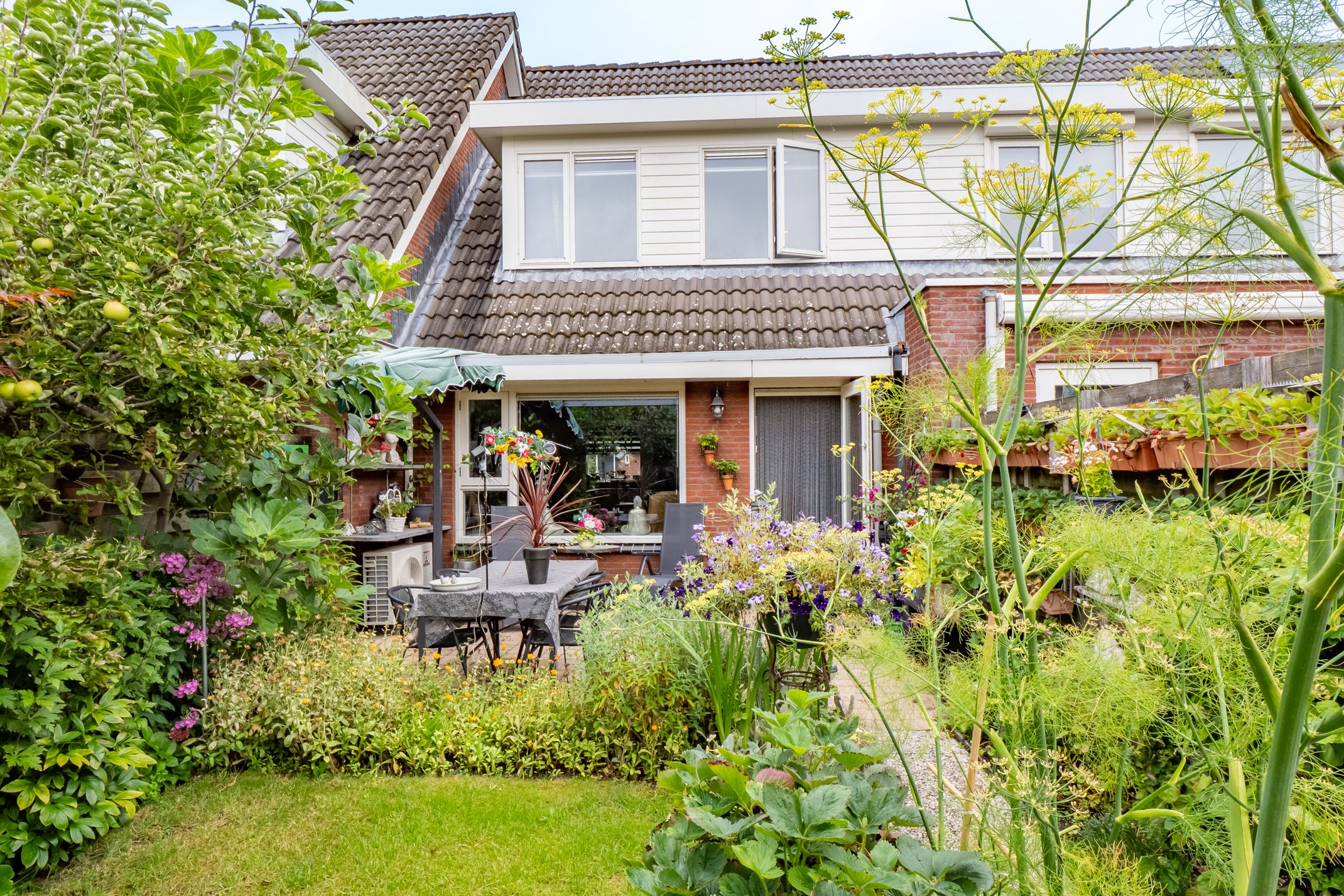 Foto 33 van Vedergras 8