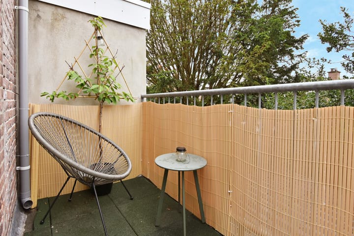 Foto 9 van Anton de Haenstraat 70