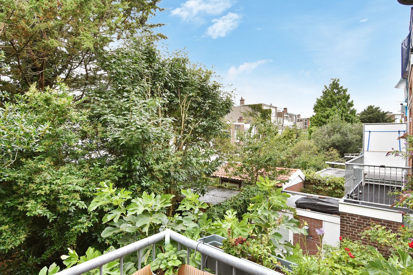 Foto 10 van Anton de Haenstraat 70