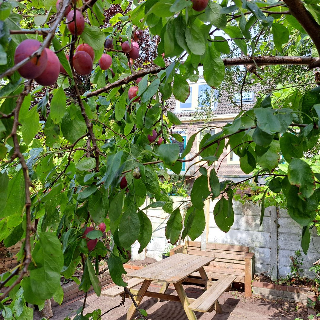 Photo 11 of Kloosterstraat 21