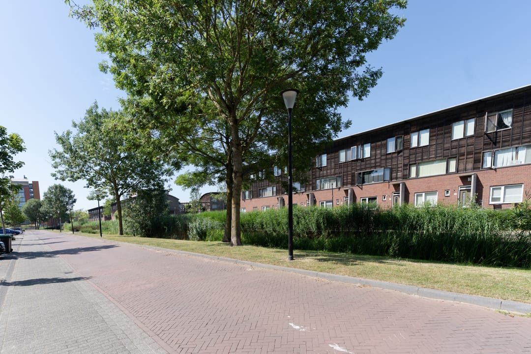 Foto 41 van Zalmwater 17