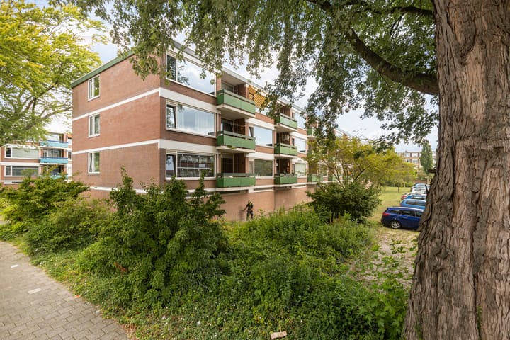 Foto 20 van Begoniastraat 40