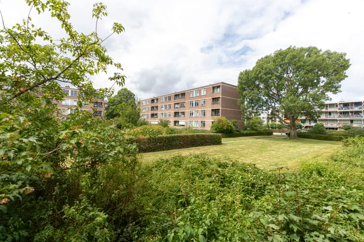 Foto 4 van Ruigoord 41