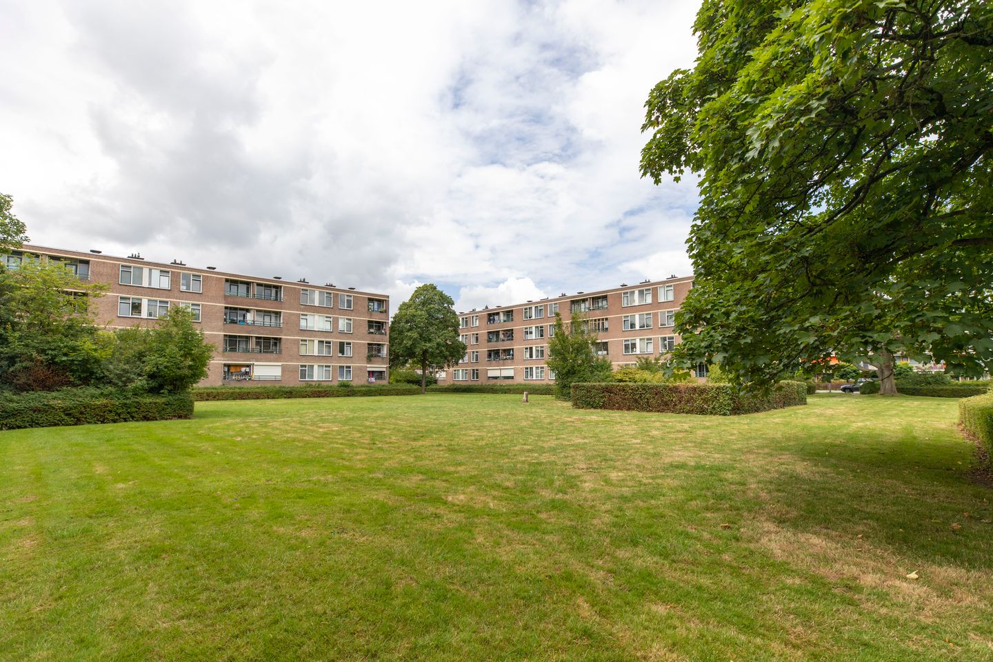 Foto 20 van Ruigoord 41