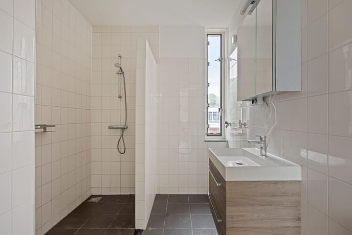 Foto 20 van Aronskelkstraat 163