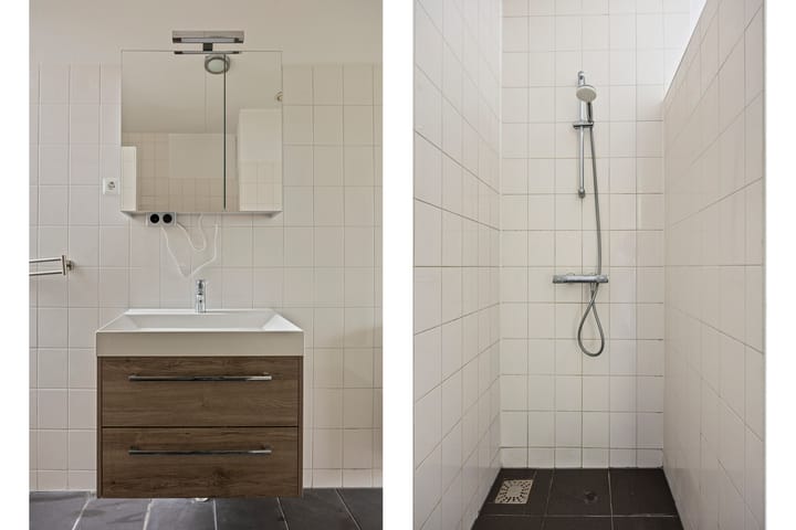 Foto 21 van Aronskelkstraat 163