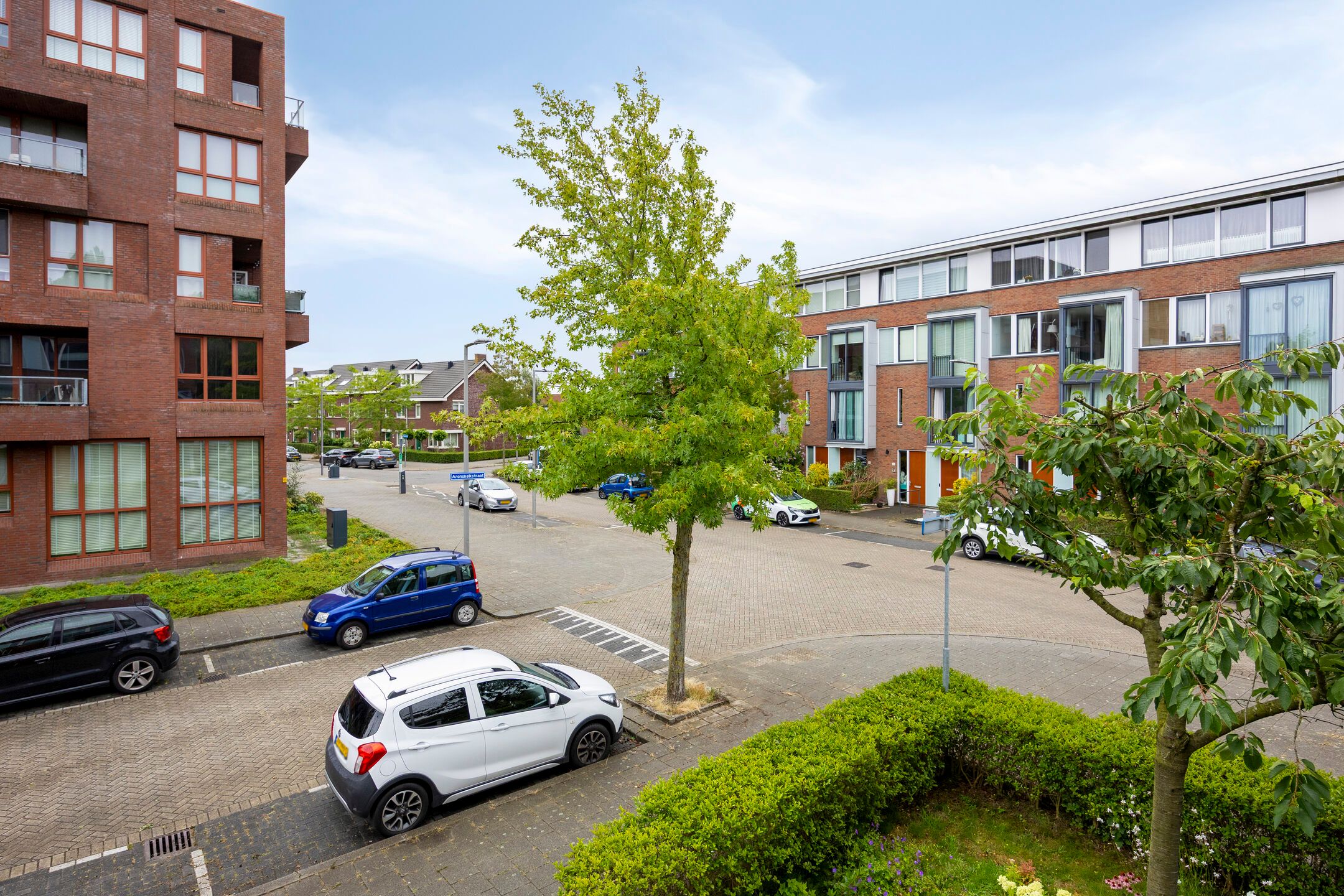 Foto 33 van Aronskelkstraat 163