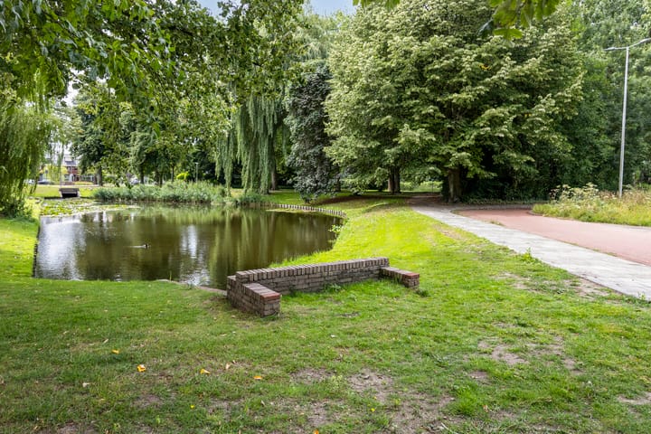 Foto 37 van Aronskelkstraat 163