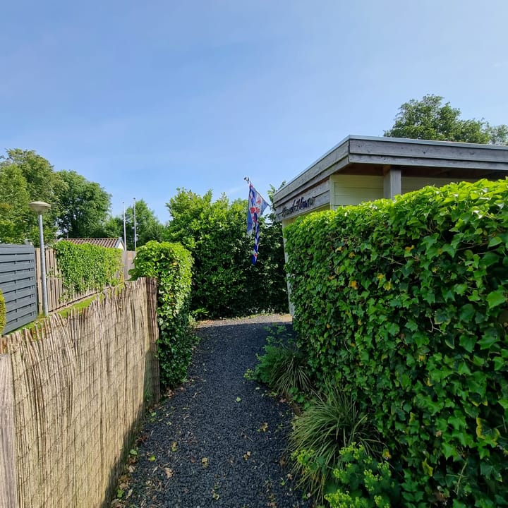 Foto 5 van Mastersein 12