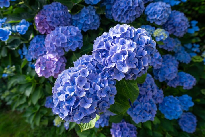 Foto 64 van Waalderstraat 94