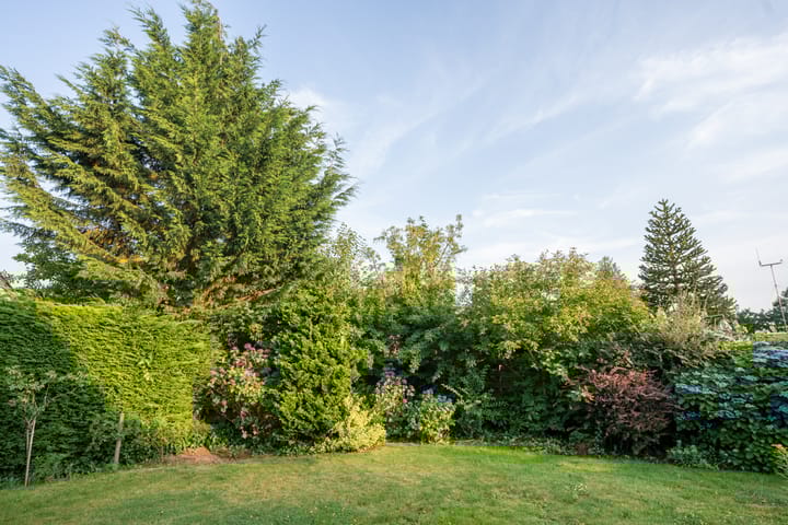 Foto 66 van Waalderstraat 94