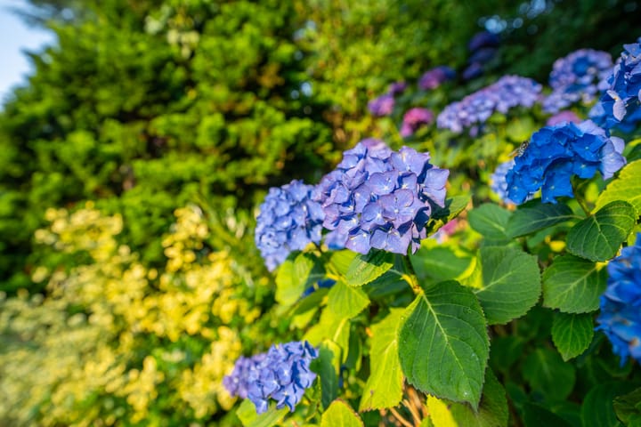 Foto 67 van Waalderstraat 94