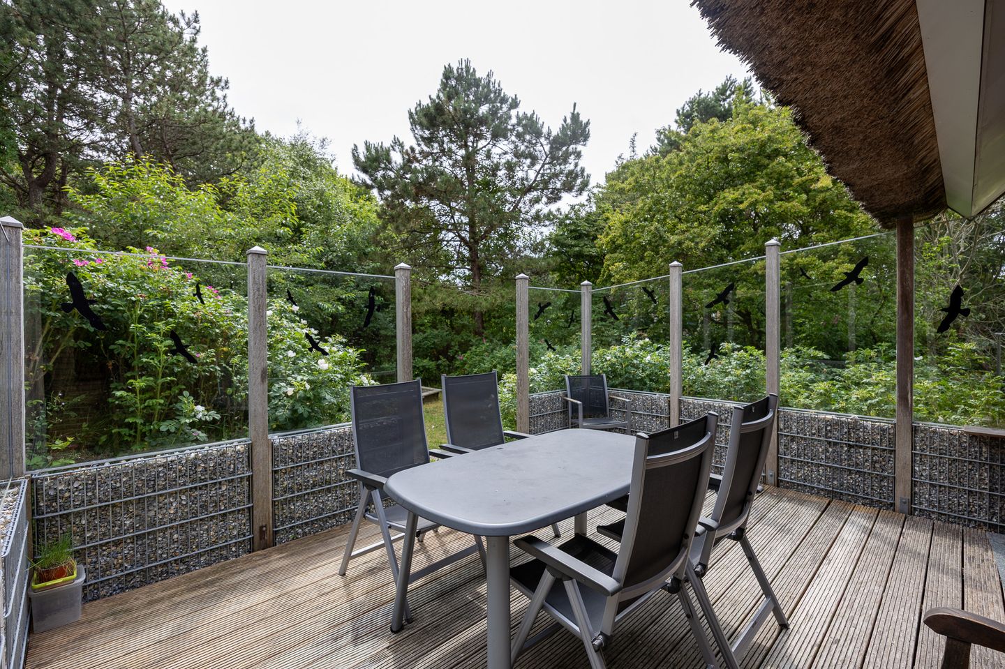 Photo 20 of Bosrand 5