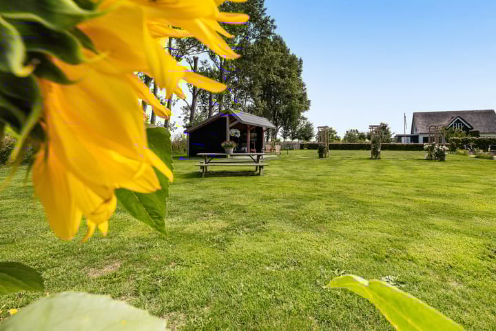 Foto 53 van Westdijk 30-B