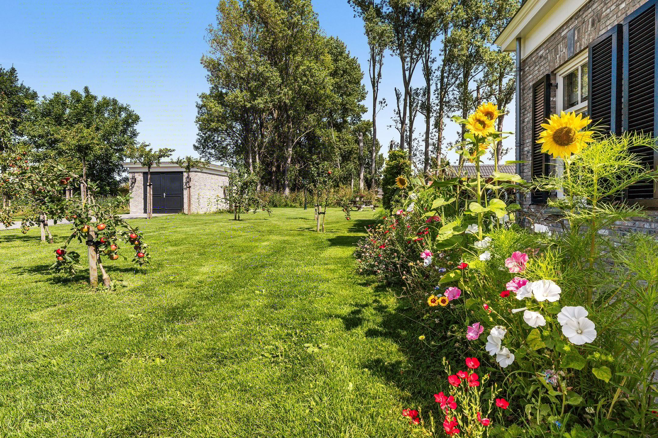 Foto 60 van Westdijk 30-B