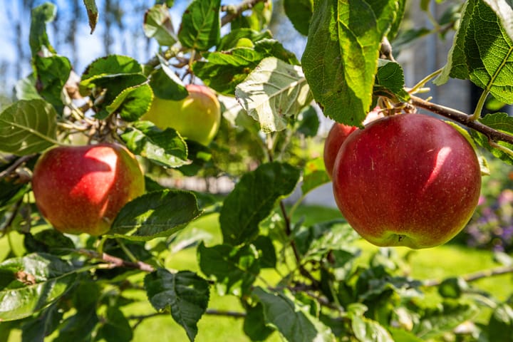 Foto 61 van Westdijk 30-B