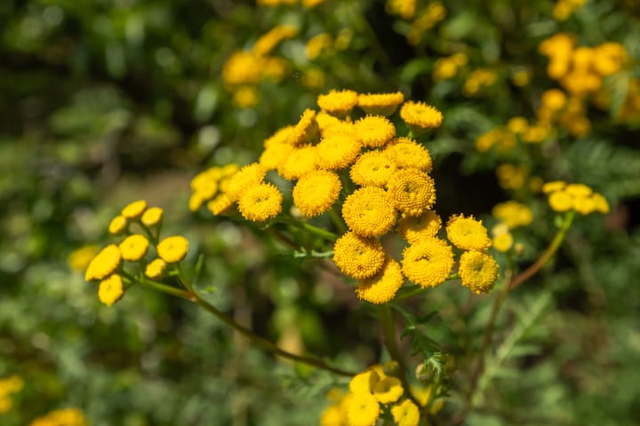 Photo 17 of Middenmolendijk 197