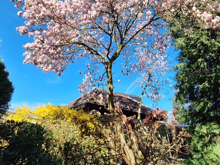 Photo 21 of Middenmolendijk 197