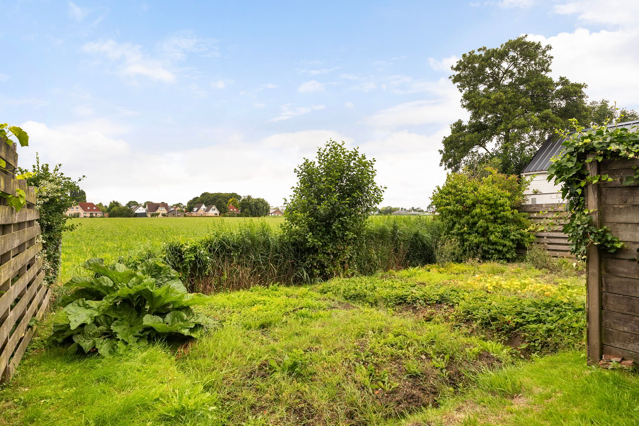 Photo 54 of Lytsedyk 49