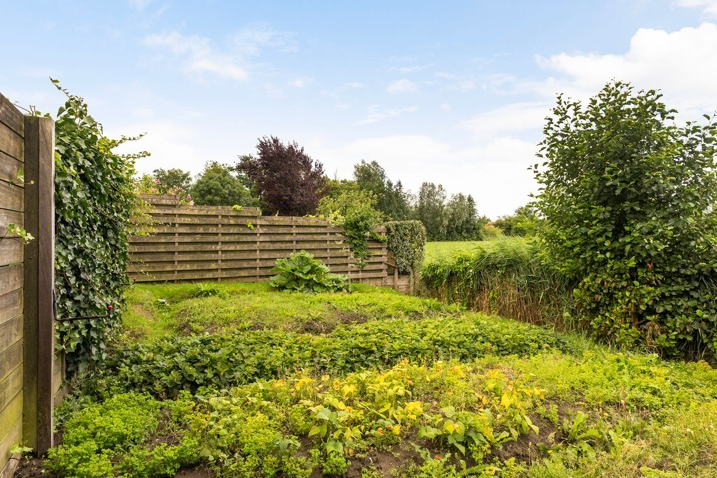 Photo 55 of Lytsedyk 49