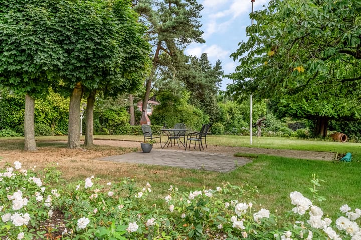 Foto 27 van Rozenlaan 79