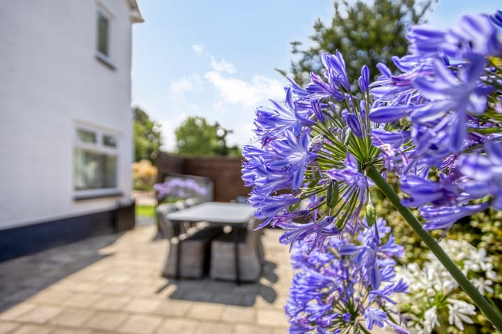 Foto 5 van Noordweg 35