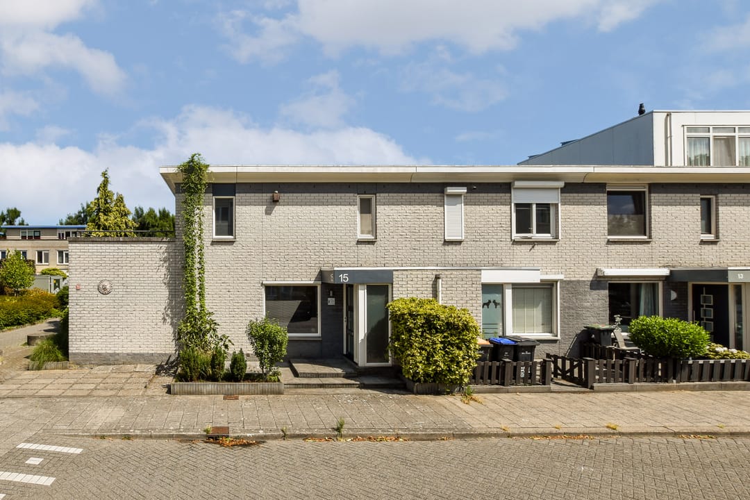 Foto 1 van Palissander 15