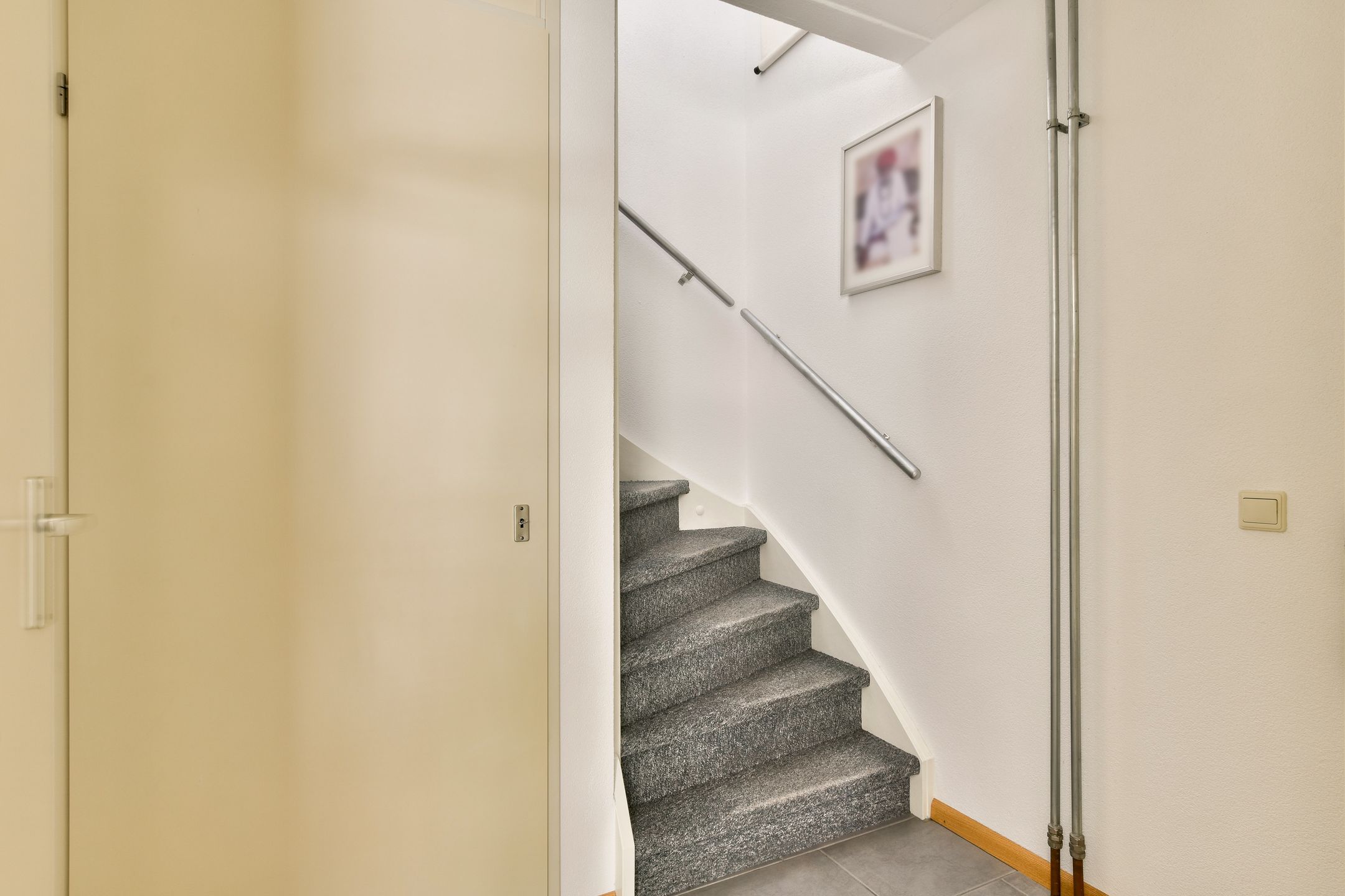 Foto 18 van Palissander 15