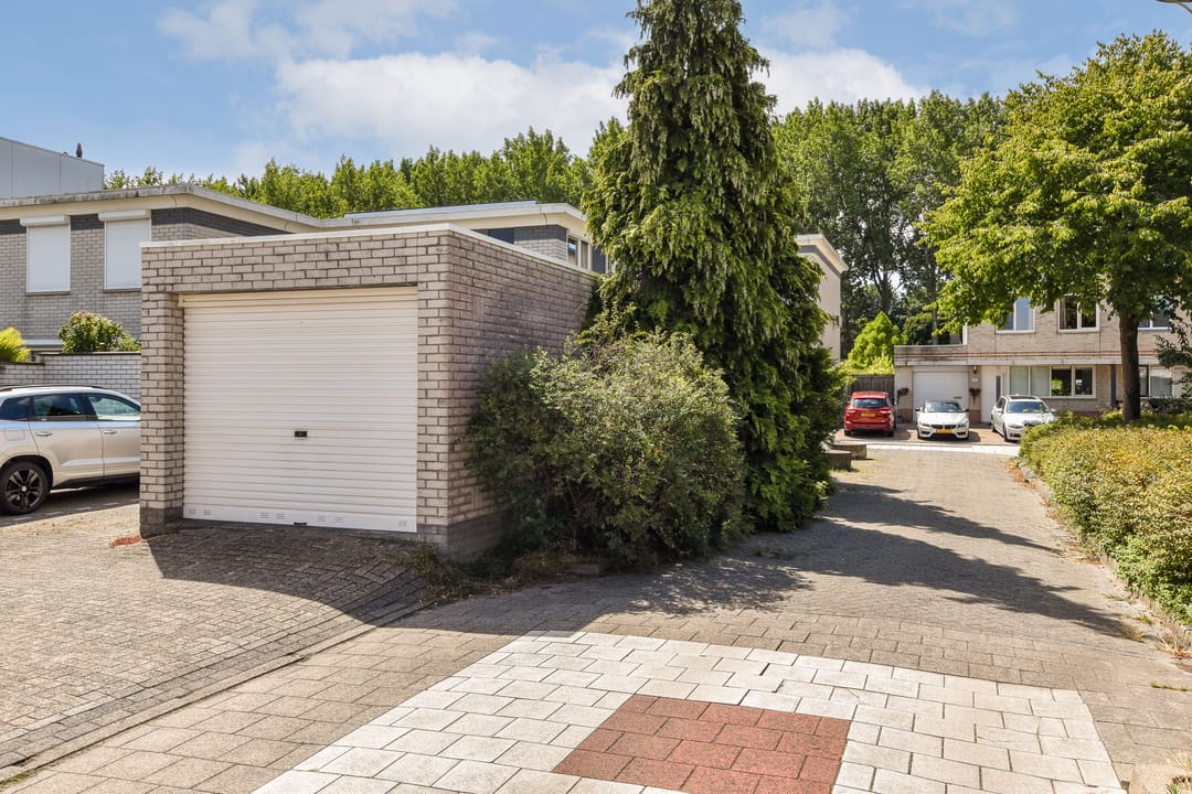 Foto 32 van Palissander 15