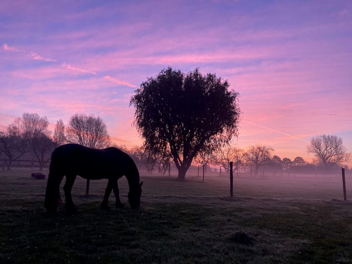 Foto 59 van Boomweg 11